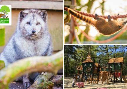 Dagentree voor het Natur- und Tierpark BrÃ¼ggen
