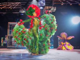 Magische avond bij HOLIDAY ON ICE in Den Bosch! ❄⛸ Geniet van schitterende acts, muziek & luxe overnachting met ontbijt!