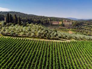 Torre A Cona Wine Estate Classic Room