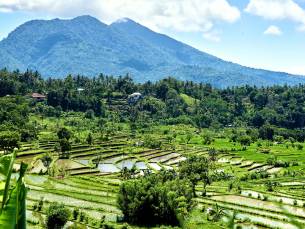 Traditioneel Bali