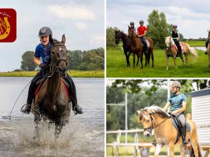 Avontuurlijke bos- of waterrit op een paard (3 Ã  4 uur)