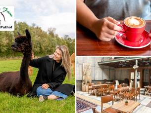 Alpaca experience (1,5 uur) + koffie/thee + gebak