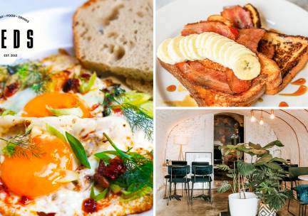 Brunch- of lunchgerecht naar keuze bij Teds in hartje Utrecht