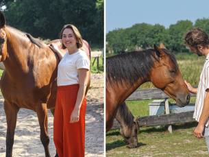 Paardencoaching (60 min)