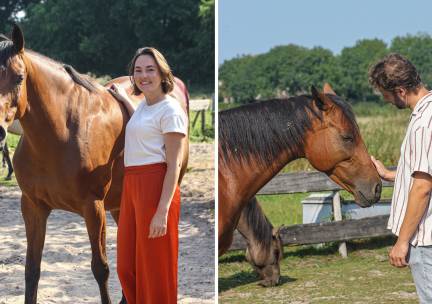 Paardencoaching (60 min)
