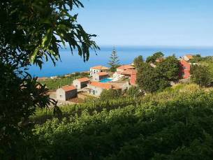 Quinta das Vinhas