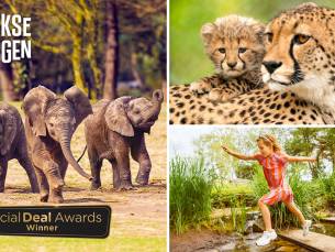 Entree Safaripark Beekse Bergen