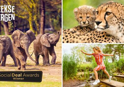 Entree Safaripark Beekse Bergen