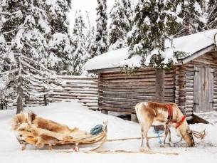 Onvergetelijke reis naar Lapland incl. vlucht, transfer, ontbijt, sneeuwscooter safari naar de husky farm, noorderlicht hunt en MEER!