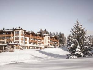 Hotel Steger - Dellai