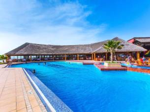 Royal Horizon Baobab