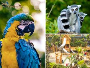 Entree Zoo Veldhoven