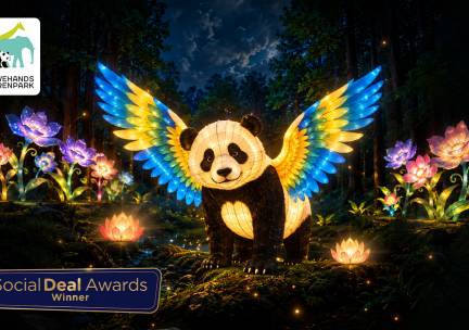 Entree Light Nights of entree dierenpark + Light Nights (1 pers.) bij Ouwehands Dierenpark