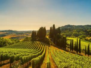 Rondreis door Itali&euml; van het Gardameer naar het authentieke Toscane! Incl. ontbijt, 3-gangendiner, wijn en olijfolie-proeverij + GRATIS parkeren!