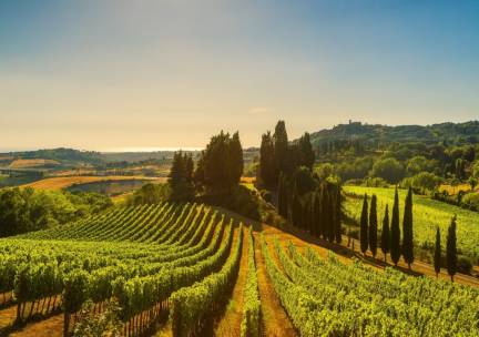 Rondreis door Itali&euml; van het Gardameer naar het authentieke Toscane! Incl. ontbijt, 3-gangendiner, wijn en olijfolie-proeverij + GRATIS parkeren!