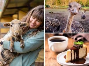 Meet and feed + drankje + gebak of lekkernij voor kinderen