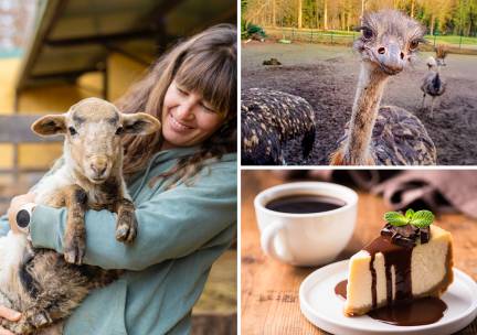 Meet and feed + drankje + gebak of lekkernij voor kinderen
