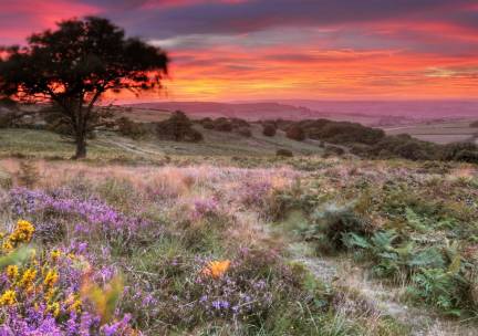 Prachtig Kent & Isle of Wight