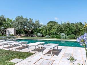 Trulli Damor