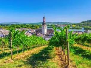 Riviercruise Beleef de Rijnromantiek naar Rüdesheim (07-04)