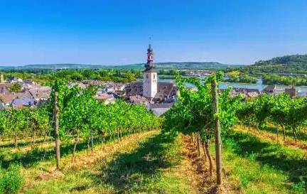 Riviercruise Beleef de Rijnromantiek naar Rüdesheim (07-04)