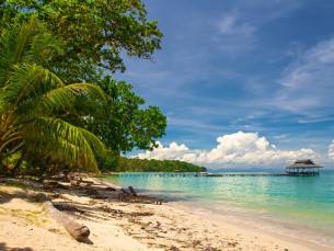 Sabah: Highlights & jungle van Borneo