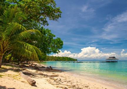 Sabah: Highlights & jungle van Borneo