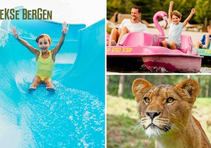 Entree voor Safaripark + Speelland Beekse Bergen