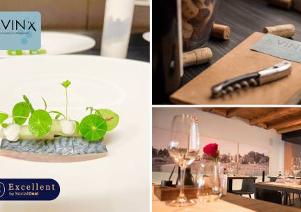 4- of 5-gangendiner van de chef bij le VIN 'x in hartje Den Bosch