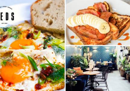 Brunch- of lunchgerecht naar keuze bij Teds in hartje Den Haag