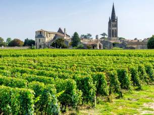 Dordogne, wijn en Bordeaux