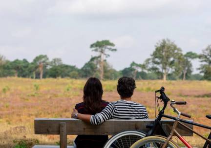 GLOEDNIEUW 4*-boutiquehotel middenin de natuur van Drenthe