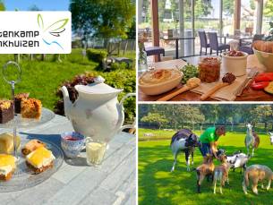 Afternoon tea bij Hertenkamp Enkhuizen