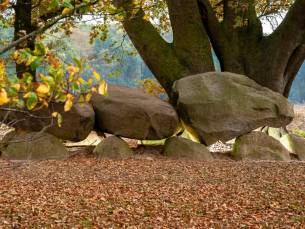 Centraal gelegen hotel in de natuur van Drenthe tussen Assen en Groningen incl. ontbijt
