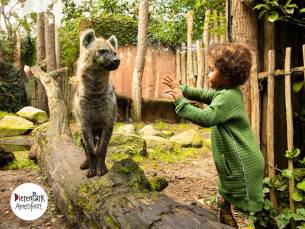 Entree DierenPark Amersfoort