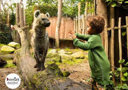 Entree DierenPark Amersfoort