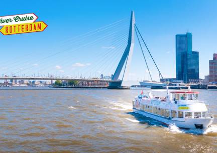 Rondvaart met gids door Rotterdam