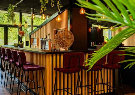 FLASHDEAL! ⚡ Verblijf in een LUXE kamer in duurzaam 4*-boshotel bij de Utrechtse Heuvelrug en Utrecht incl. ontbijt