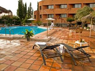 Porcel Alixares