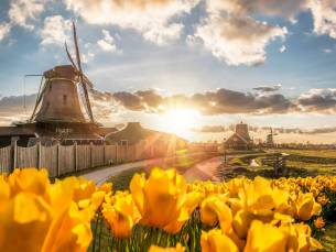 Vier prachtige Provinciën met mps Serenade 1