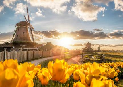 Vier prachtige Provinciën met mps Serenade 1