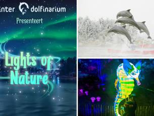 Entree voor het Dolfinarium