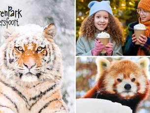 Entree voor DierenPark Amersfoort