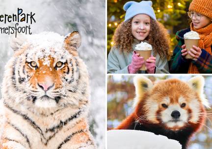 Entree voor DierenPark Amersfoort