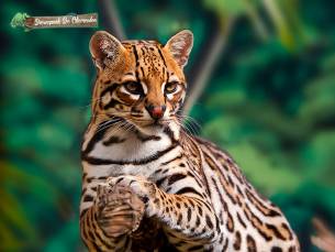 Entree Dierenpark de Oliemeulen