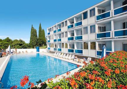 Plavi