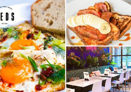 Brunch- lunchgerecht naar keuze bij Teds Breda