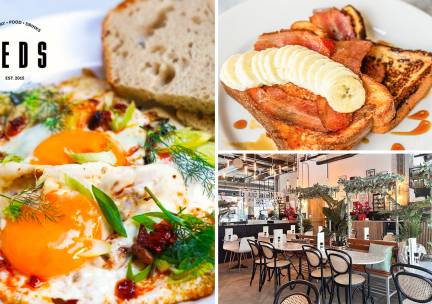 Brunch- of lunchgerecht naar keuze bij Teds Eindhoven