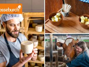 Kaasworkshop (3 uur) of koeknuffelen (2 uur) + rondleiding + kaasproeverij