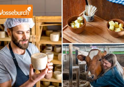 Kaasworkshop (3 uur) of koeknuffelen (2 uur) + rondleiding + kaasproeverij